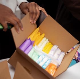 1 Period Kit (pads/Tampons) item