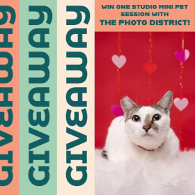 Mini photo Session with the Photo District item