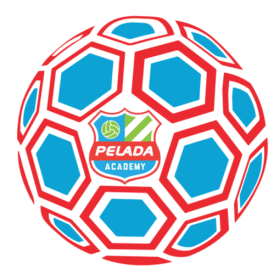 PFA Ball Sticker item