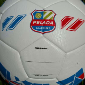 PFA Custom Colligo Size 4 Ball item