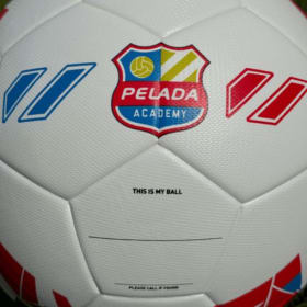 PFA Custom Colligo Size 5 Ball item