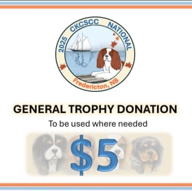 $5 General Trophy Donation item