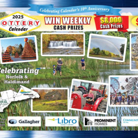 1 Lottery Cash Calendar MAILED item