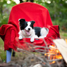 #8. Chilly Dogs Alpine Blanket - Blue + 150$ Gift Card item