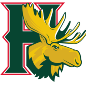 VIP Executive Suite Skybox for 12 for a Moosehead Game item