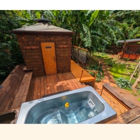 $100 gift card to Cure Kauai Cedar Sauna item