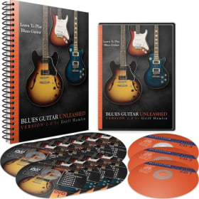 One Year of Online Guitar Lessons item
