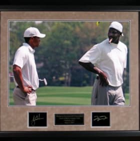 Tiger Woods and Michael Jordan item