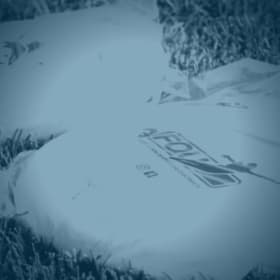 Disques 175g. - FQU item