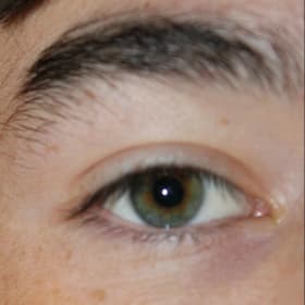 Contestant 19     Best Eyes item