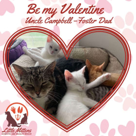 Be My Valentine item