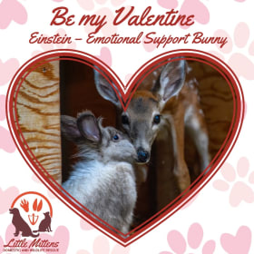 Be My Valentine item