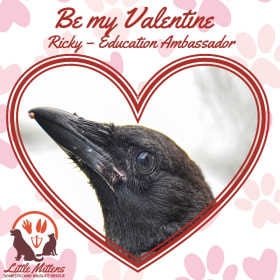 Be My Valentine item