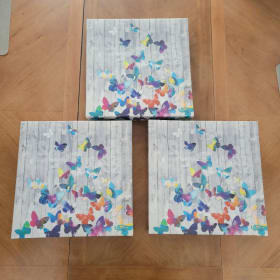3-Piece Colorful Butterfly Painting Set item