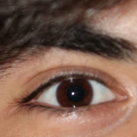 Contestant 3     Audience Choice item