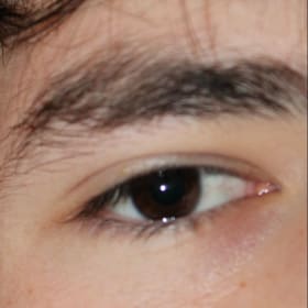 Contestant 7      Audience Choice item