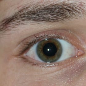 Contestant 8    Audience Choice item