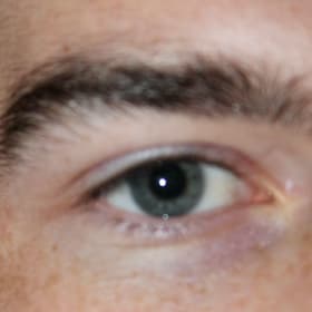 Contestant 12      Audience Choice item