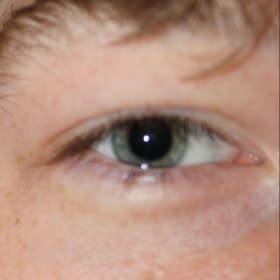 Contestant 14    Audience Choice item