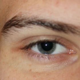 Contestant 17    Audience  Choice item