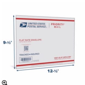 FOR SHIPPING: USPS Flat Rate Envelope item