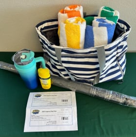 Fun in the Sun Basket item