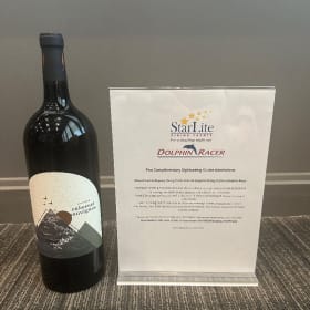 StarLite Dolphin Racer item