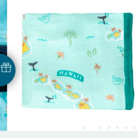 Coco moonKu'u Home O Hawai'i Baby Quilt item