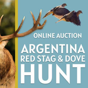 Argentina Hunt item