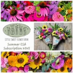 4 weeks of a GORGEOUS Fresh Flower CSA item