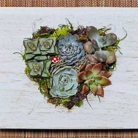 4 weeks of a GORGEOUS Fresh Flower CSA item