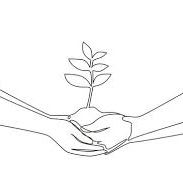 🌿 Sapling Duo item