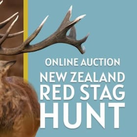 New Zealand Hunt High Point Station item