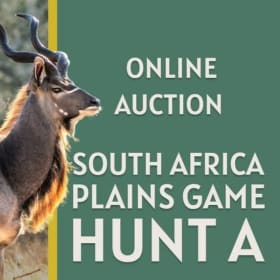 South Africa Plains Hunt A item