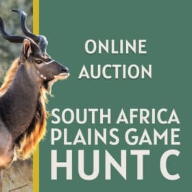 South Africa Plains Hunt C item