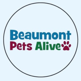 Newsletter Signup item