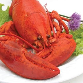 Boite repas item