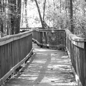 Tree Hill Nature Center #1 item