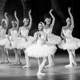 The Florida Ballet item