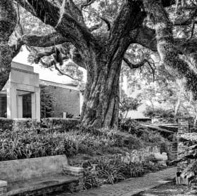 The Cummer Museum #1 item