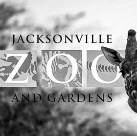 Jacksonville Zoo item