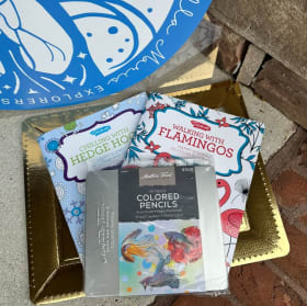 Adult Coloring Books and Pencils item