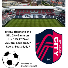 #37 STL City Game item