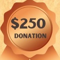 Bronze Level Sponsor item