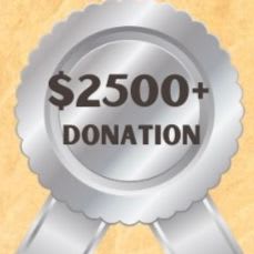 Platinum Level Sponsor item