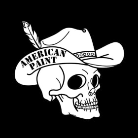 American Paint Hat Co. Design Experience item