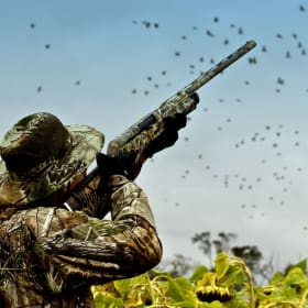Dove Hunting in Commerce, Texas for Two Days & One Night a item