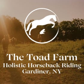 Horseback Riding Lesson – The Old Toad Farm – $75 Value item