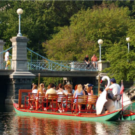 Swan Boat Rides in Boston item
