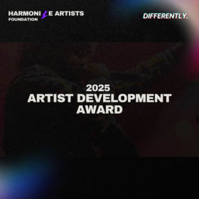 Differently Artist Development Application item